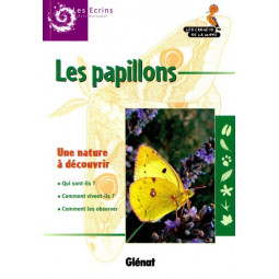 Carnet de la Huppe – Les papillons