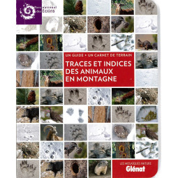 Mosaïque  traces et indices