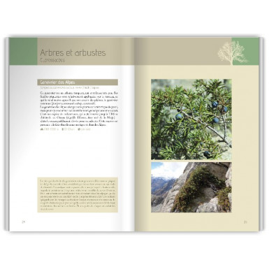 Livre Flora Verticalis Cédric Dentant