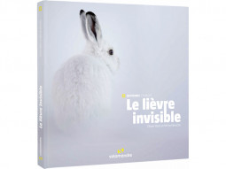Le lièvre invisible