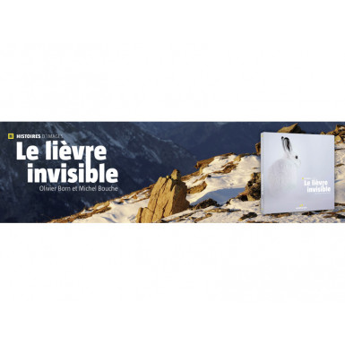 Le lièvre invisible
