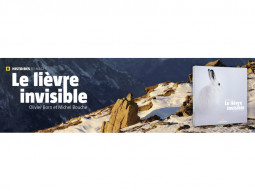 Le lièvre invisible