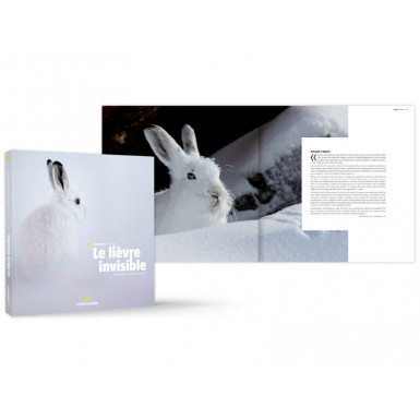 Le lièvre invisible