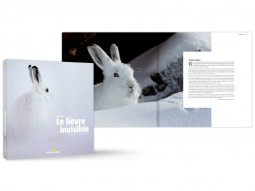 Le lièvre invisible