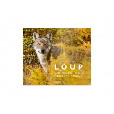 Loup, une vie en meute dans...