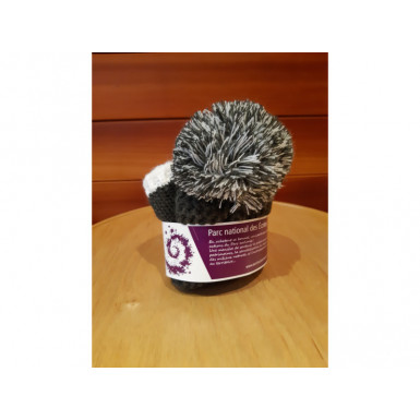 Bonnet sommet des Ecrins