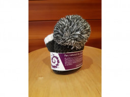 Bonnet sommet des Ecrins