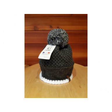 Bonnet sommet des Ecrins