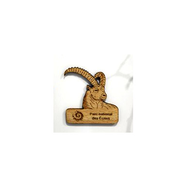 MAGNET bouquetin
