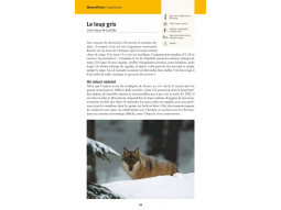 Faune et flore de nos montagnes