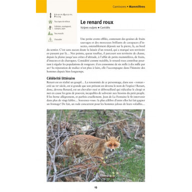 Faune et flore de nos montagnes