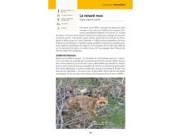 Faune et flore de nos montagnes