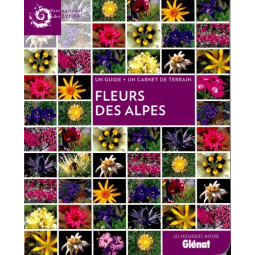 Mosaïque Fleurs des Alpes