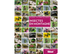 Mosaïque Insectes en Montagne Mosaïque Insectes en Montagne