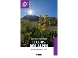 A la découverte des fleurs des Alpes