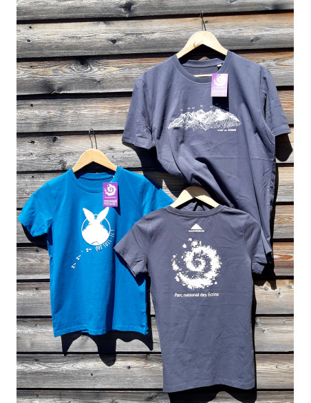 TEE-SHIRT massif des Ecrins FEMME gris