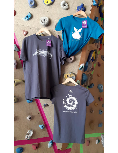 TEE-SHIRT massif des Ecrins FEMME gris