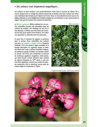 LIVRE RANDOS BOTANIQUE HAUTES-ALPES