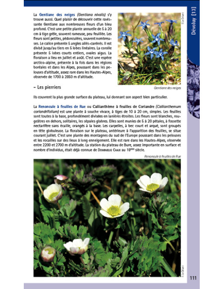 LIVRE RANDOS BOTANIQUE HAUTES-ALPES