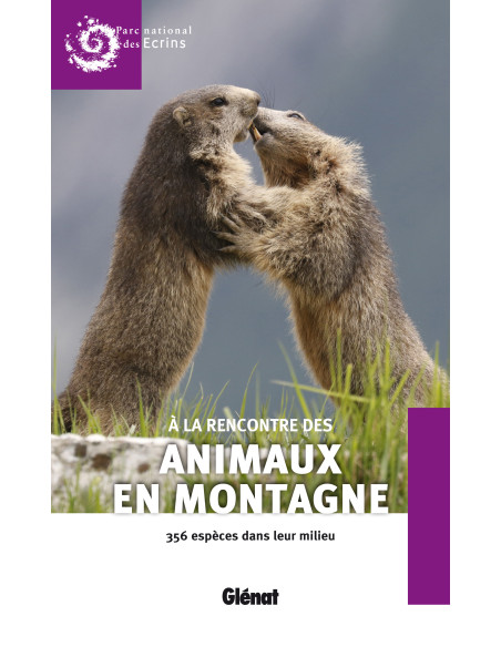 A la rencontre des animaux de montagne