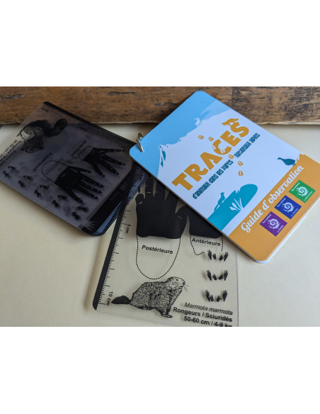 CARNET EMPREINTES ANIMAUX