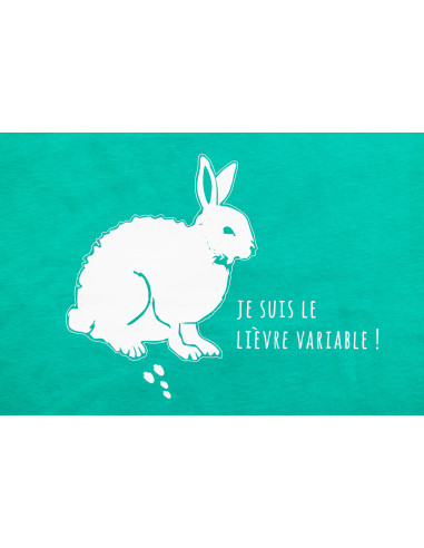 TEE-SHIRT lièvre ENFANT VERT