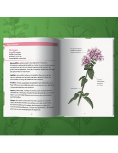 Livre Plantes Comestibles 2
