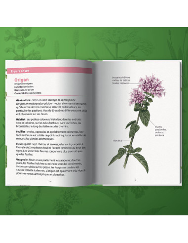 Livre Plantes Comestibles