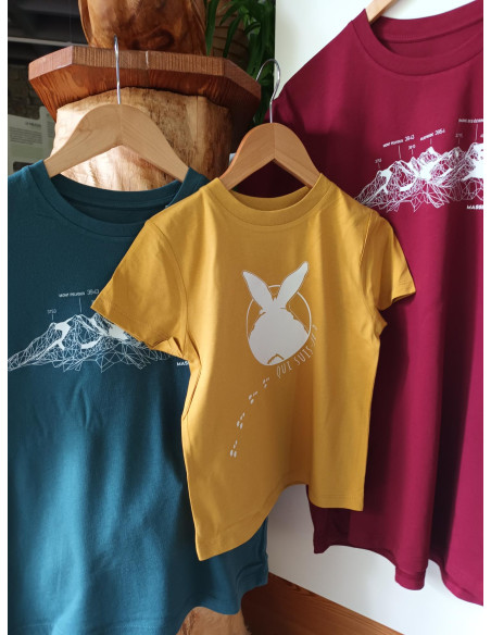 TEE-SHIRT massif des Ecrins FEMME MINERAL