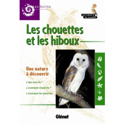 Carnet de la Huppe Chouettes et hiboux Carnet de la Huppe Chouettes et hiboux