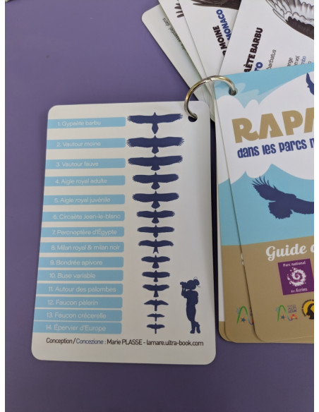 Carnet rapaces