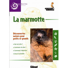 Carnet de la Huppe Marmotte