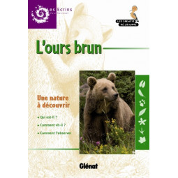Carnet de la Huppe Ours Carnet de la Huppe Ours