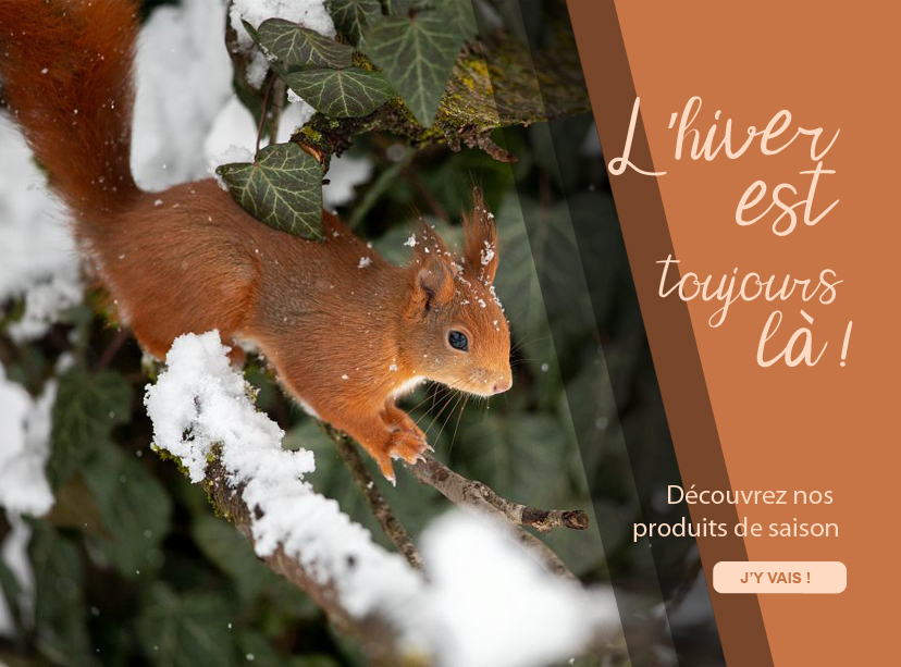 La boutique du parc des écrins - Rando